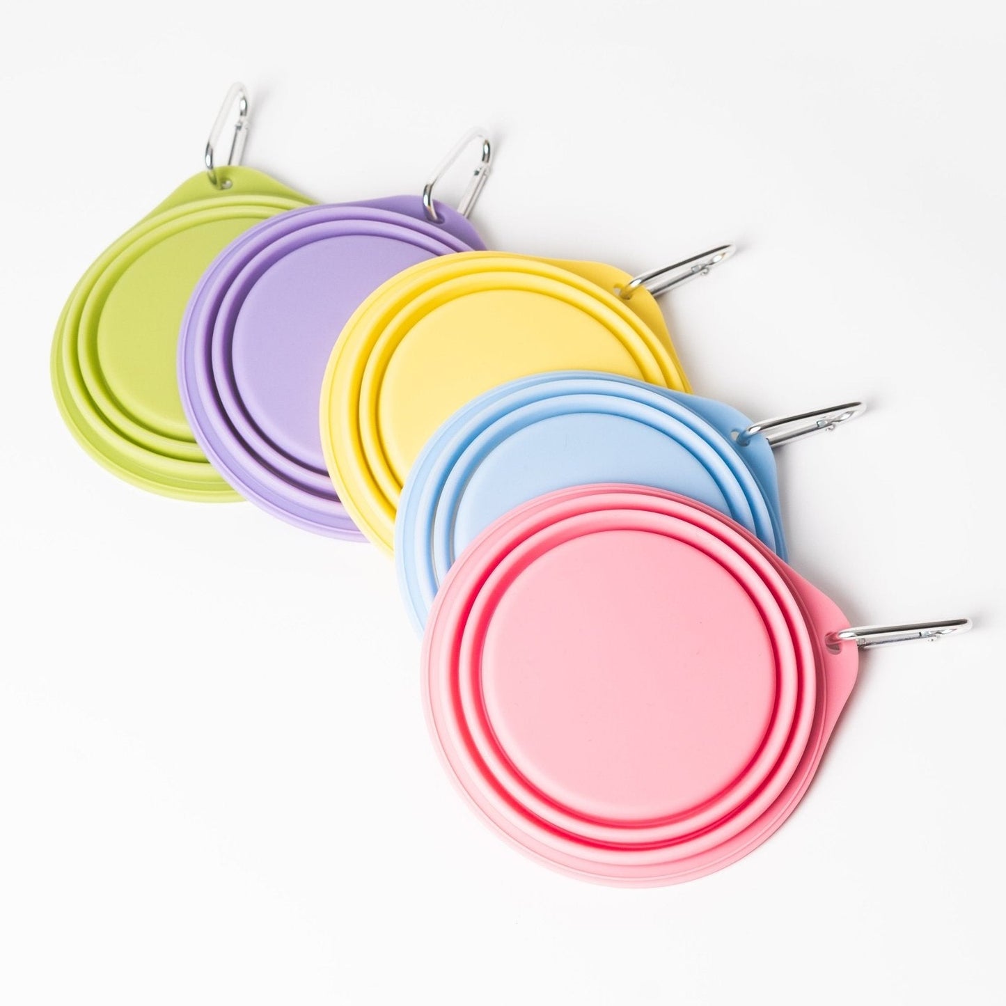 Pet Travel Bowl - Toto and George