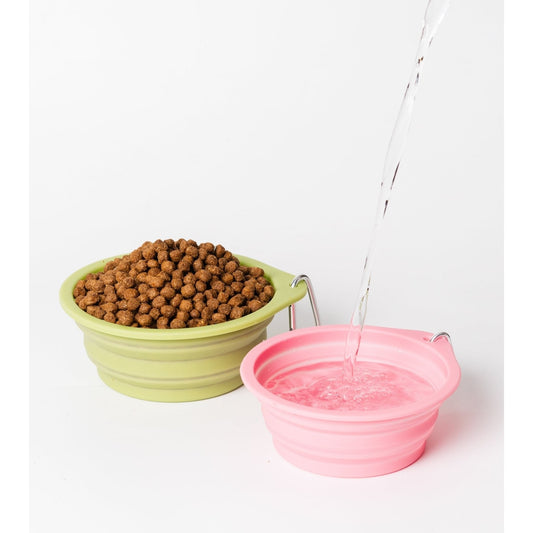 Pet Travel Bowl - Toto and George