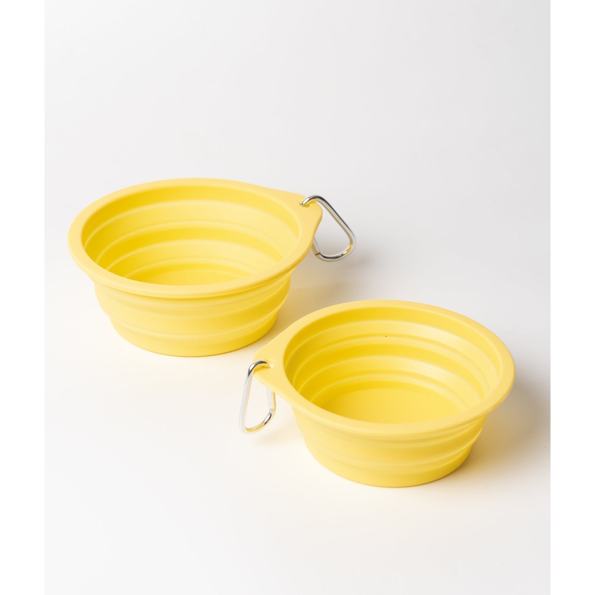 Pet Travel Bowl - Toto and George