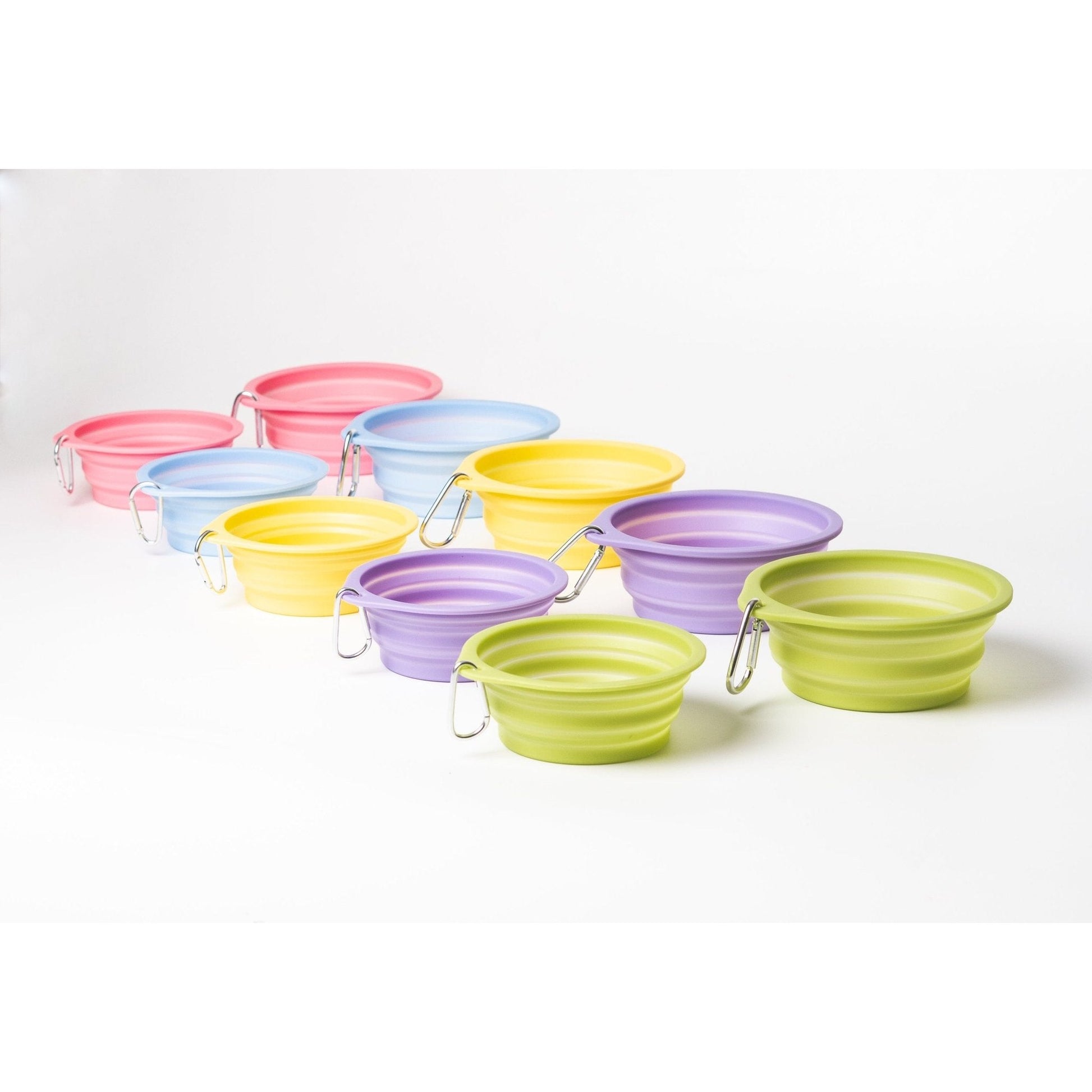 Pet Travel Bowl - Toto and George