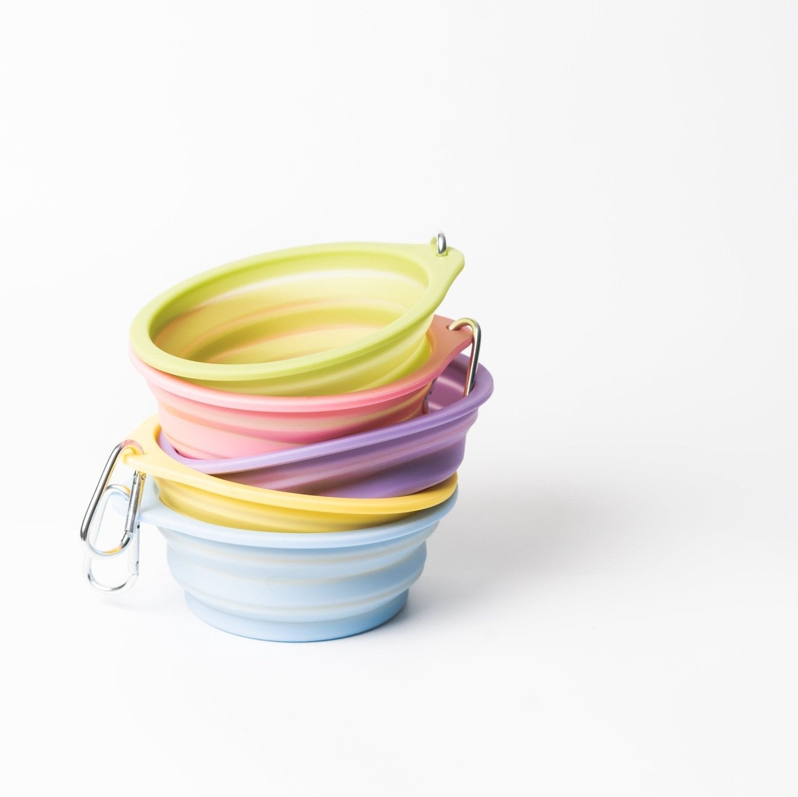 Pet Travel Bowl - Toto and George