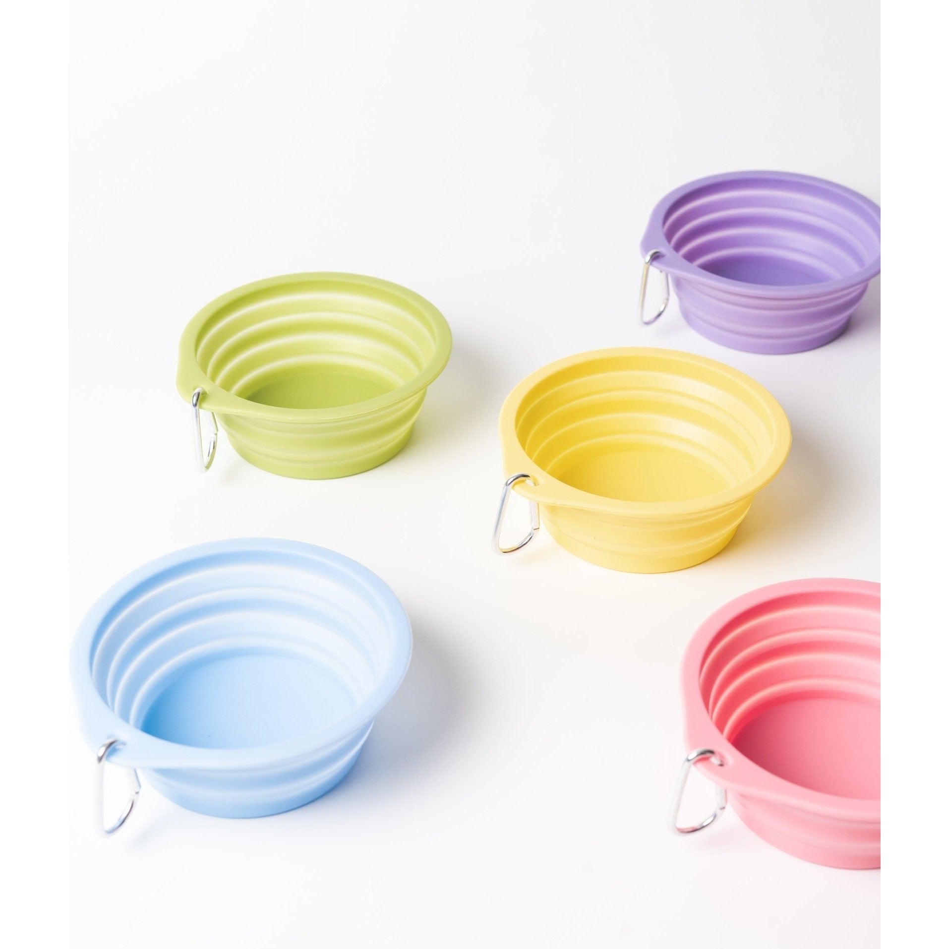 Pet Travel Bowl - Toto and George