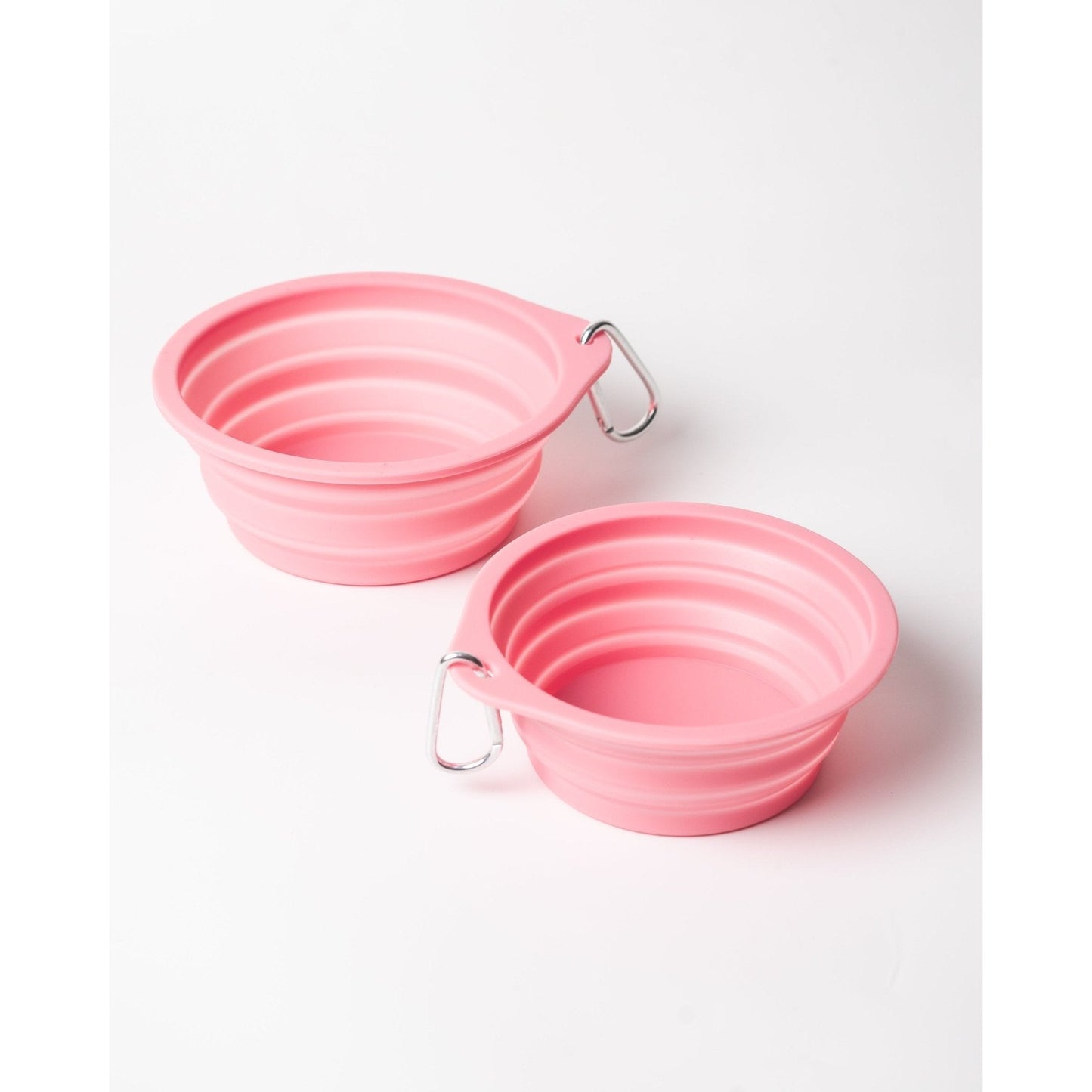 Pet Travel Bowl - Toto and George