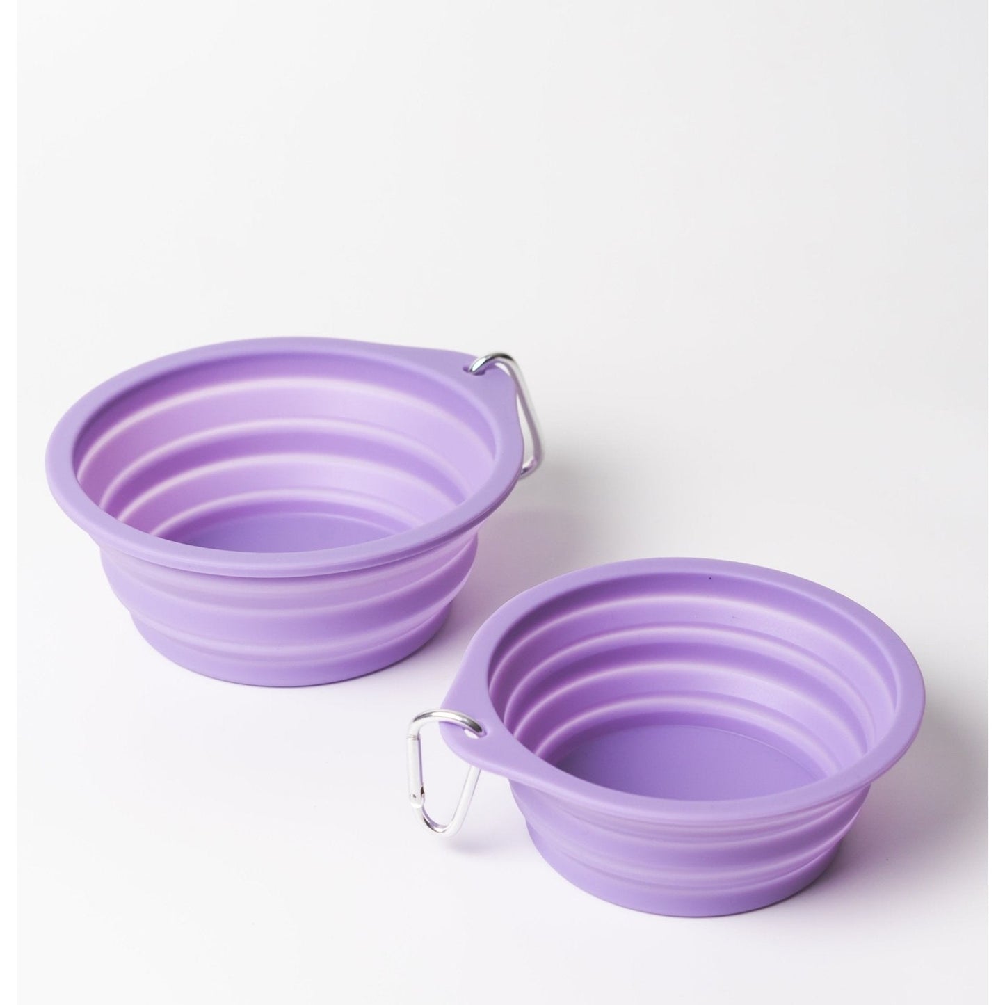 Pet Travel Bowl - Toto and George