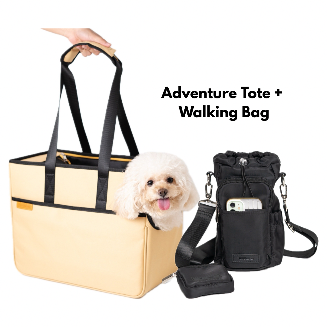 Adventure Tote Carrier + All-in-One Walking Bag