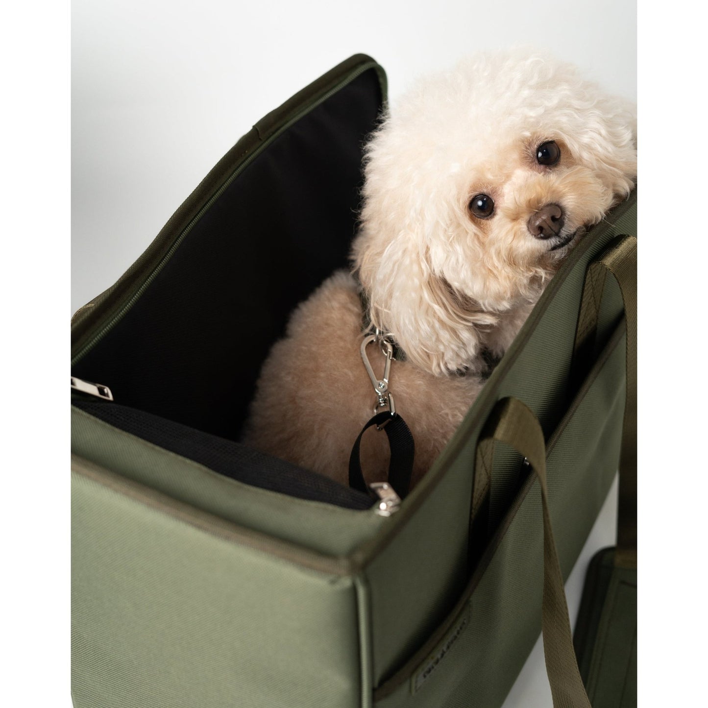 Adventure Tote Pet Carrier 2.0 - Toto and George