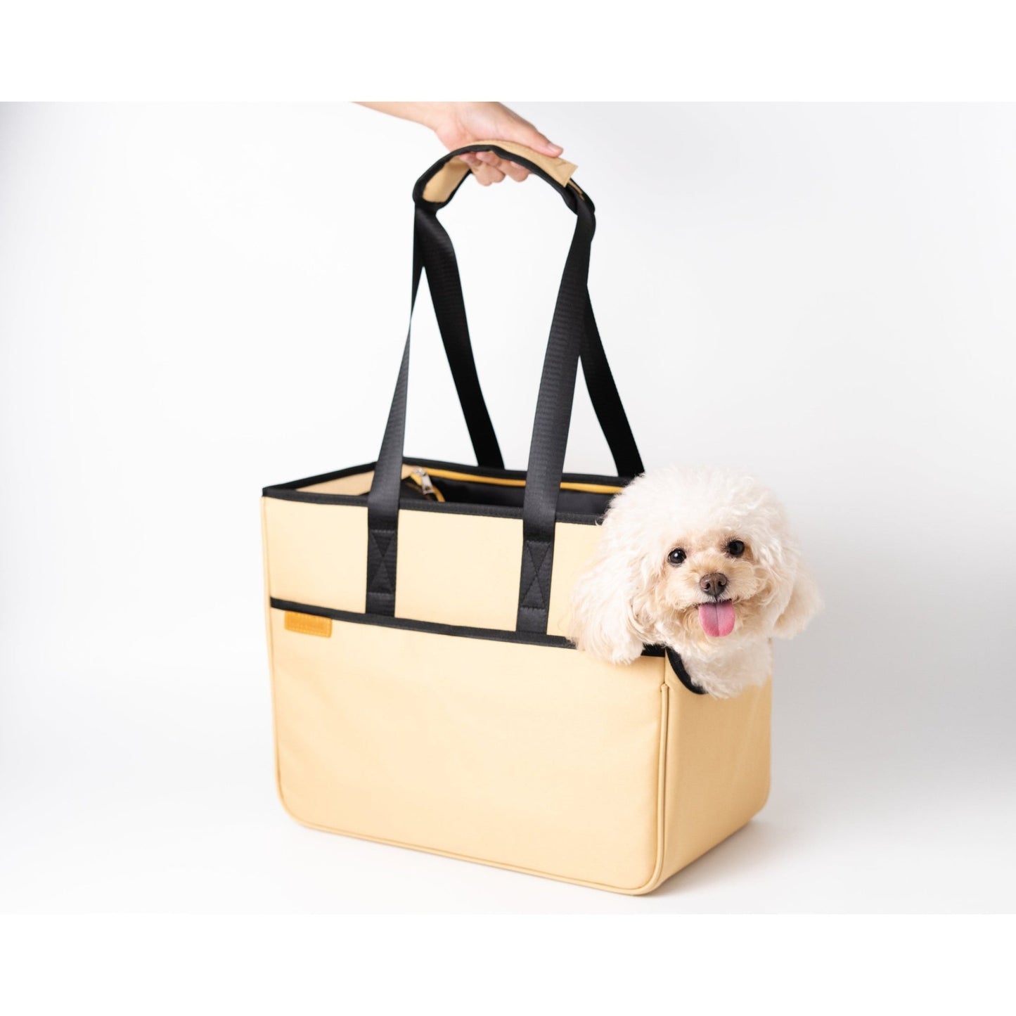 Adventure Tote Pet Carrier 2.0 - Toto and George