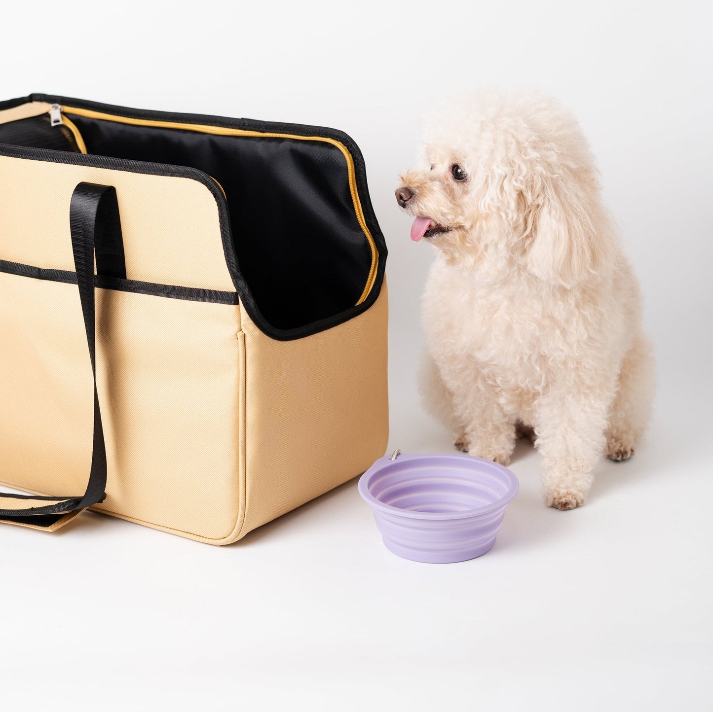 Adventure Tote Pet Carrier 2.0 - Toto and George