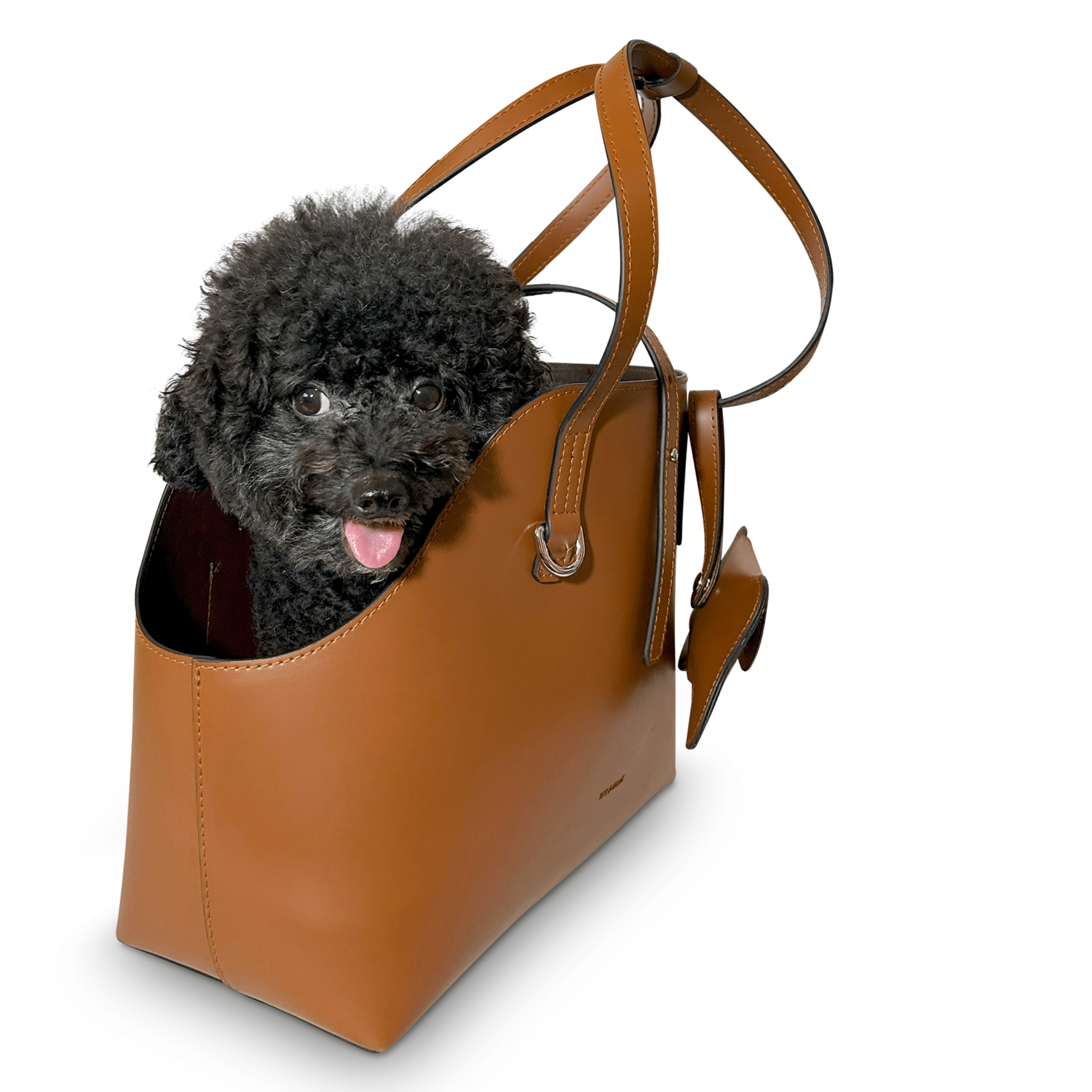 Leather Pet Carrier - Toto and George
