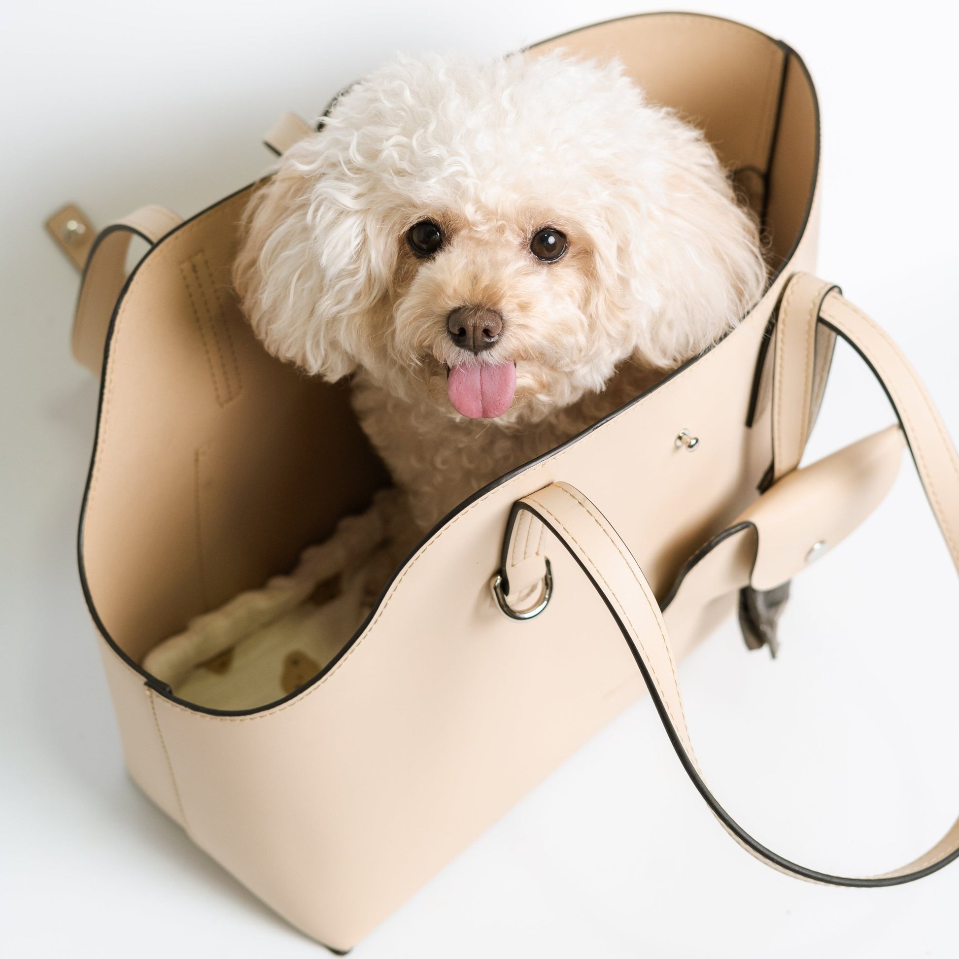 Leather Pet Carrier - Toto and George